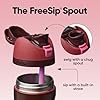 Owala FreeSip Stainless Steel Bottle